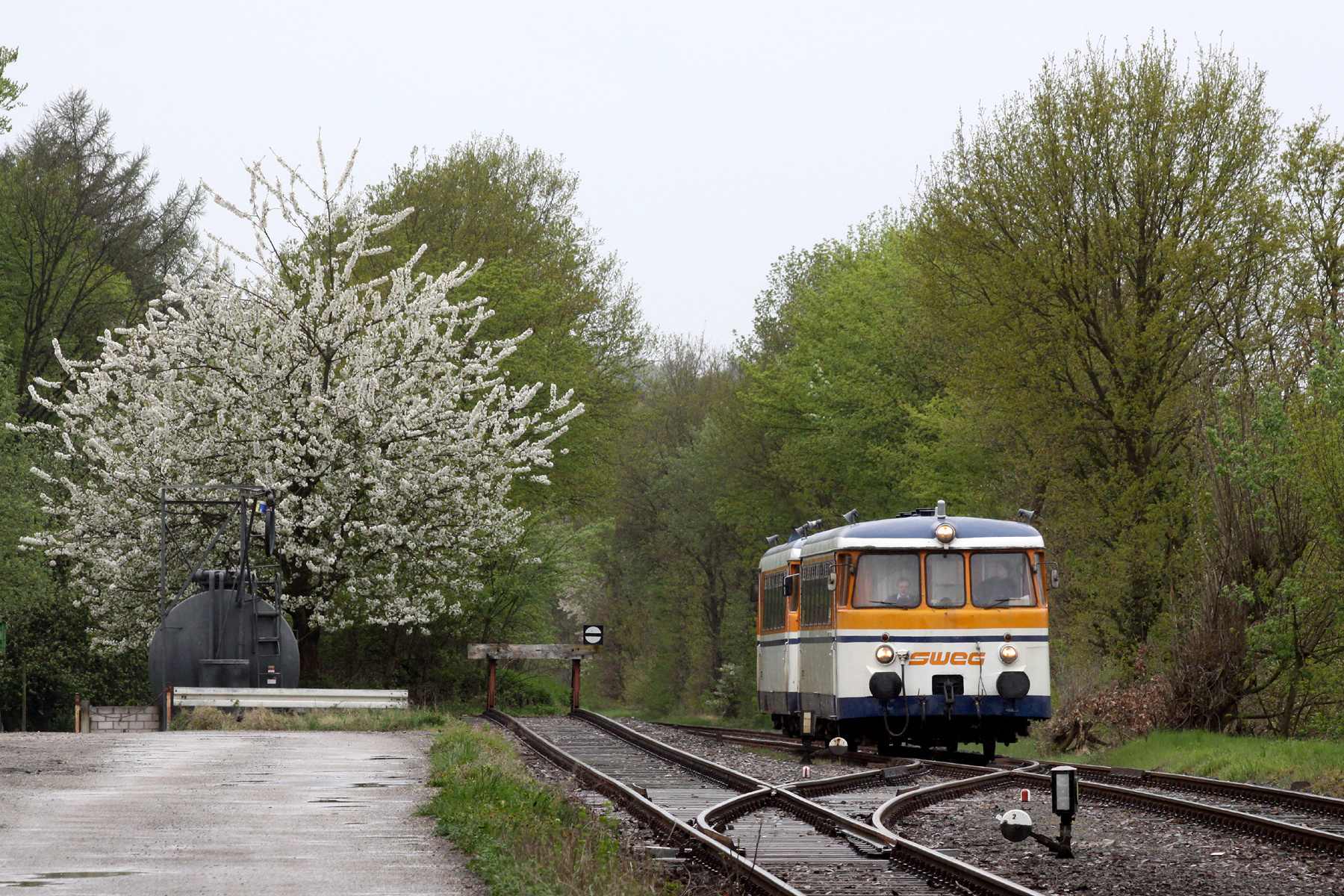 MAN Schienenbus – Foto 4