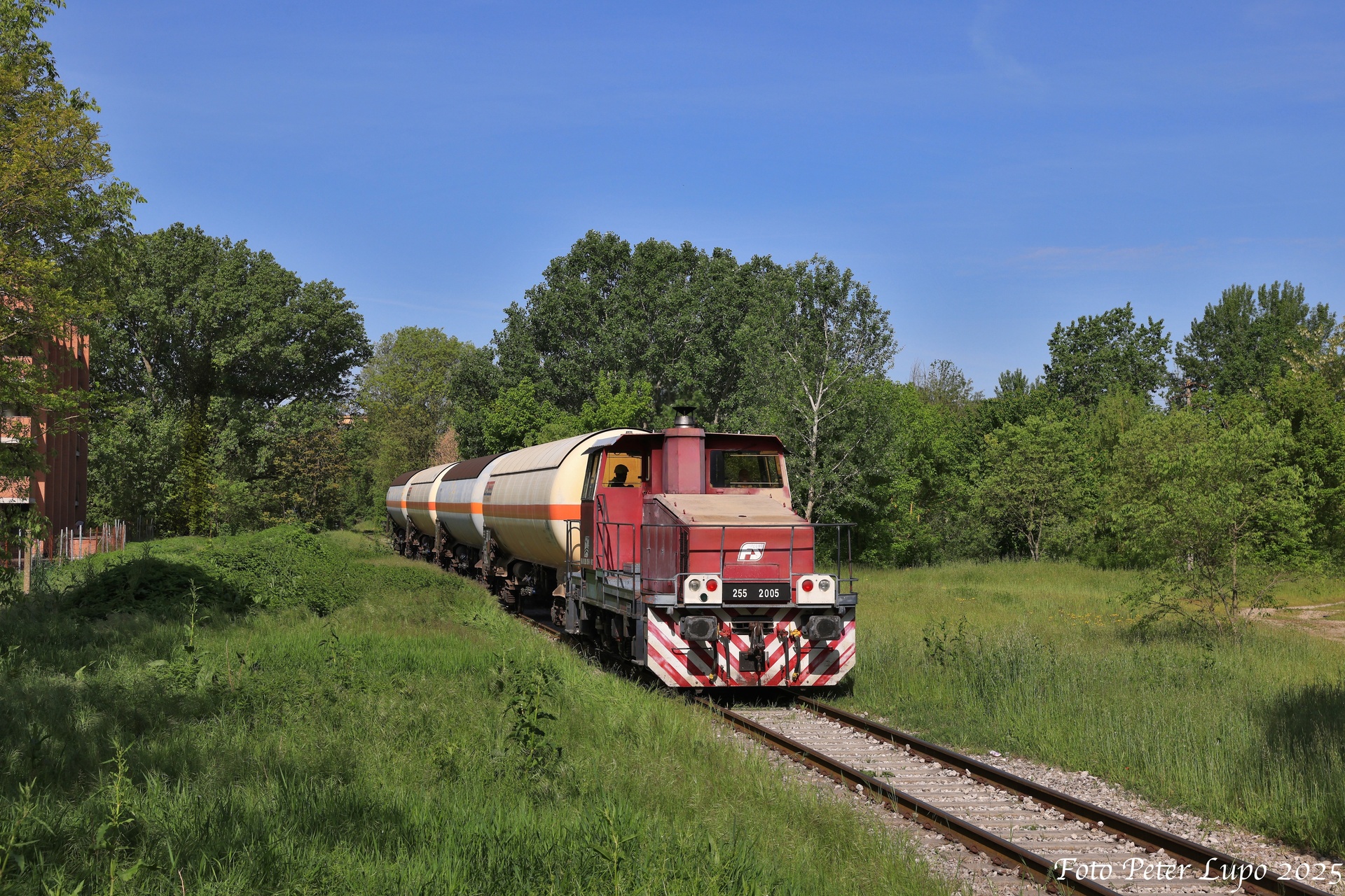 ABL FS 255 – photo 2