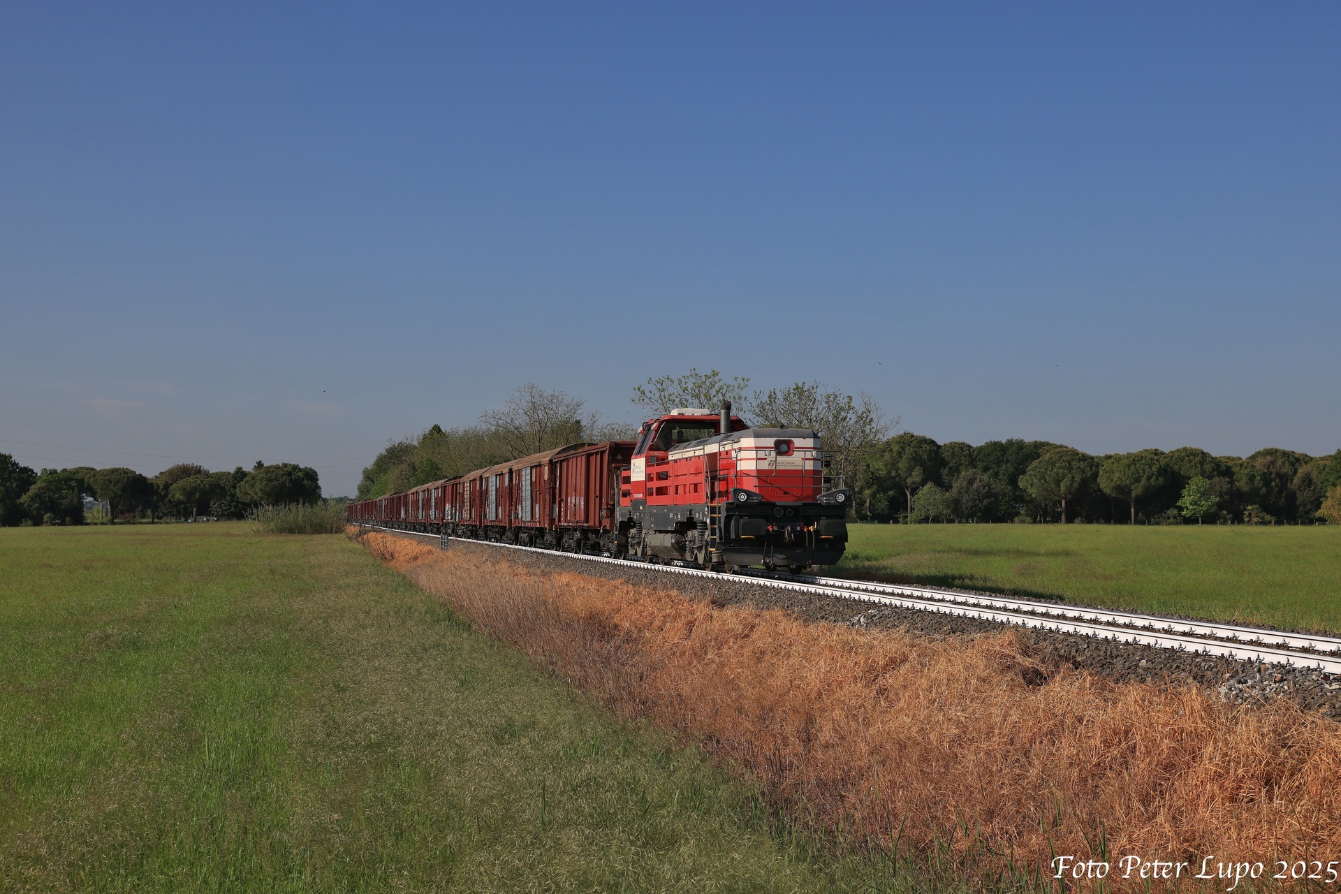 CZ LOKO Effishunter 1000 – foto 7
