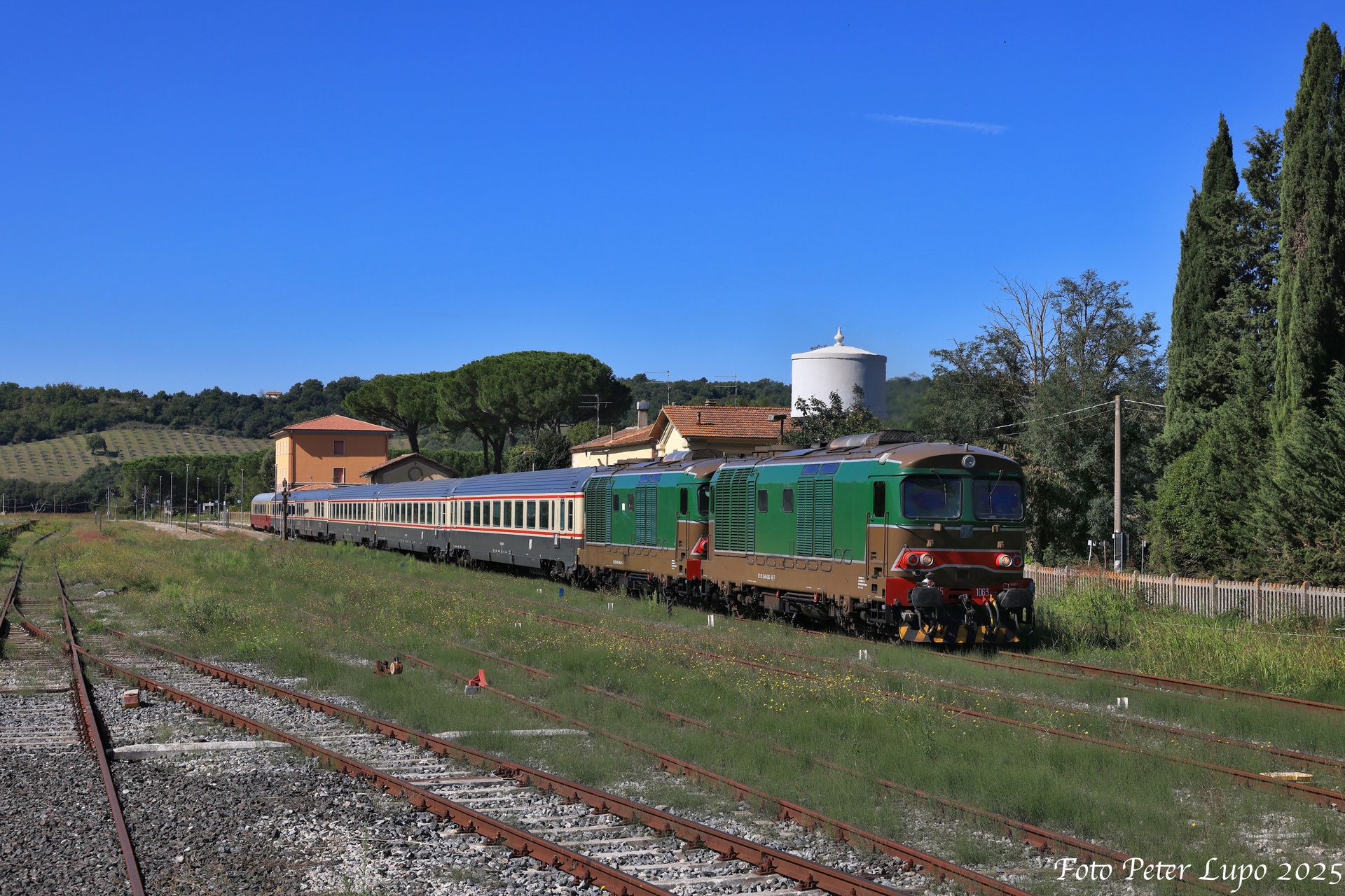 Fiat D445 – photo 4
