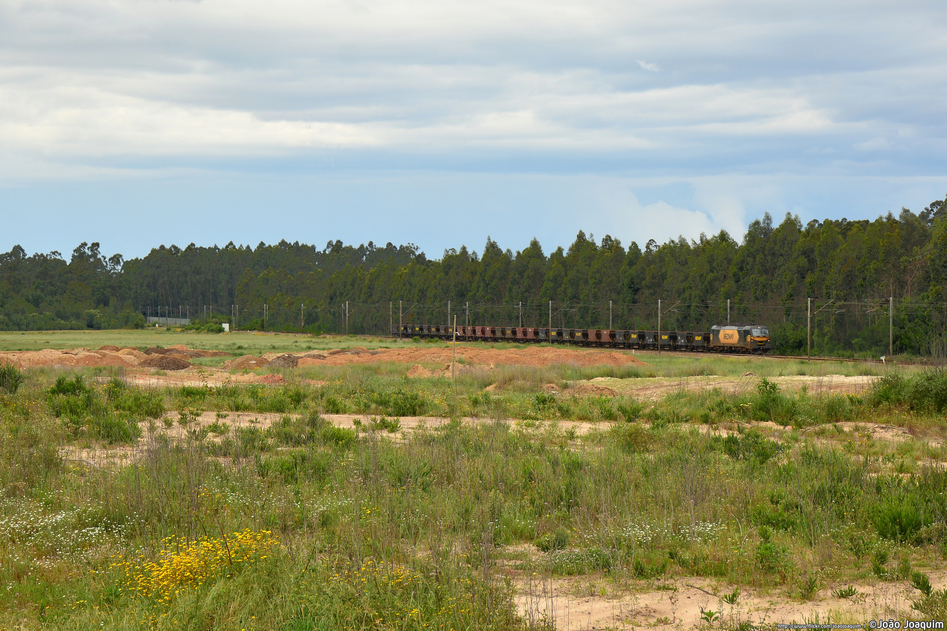Siemens ES46B1 – photo 3