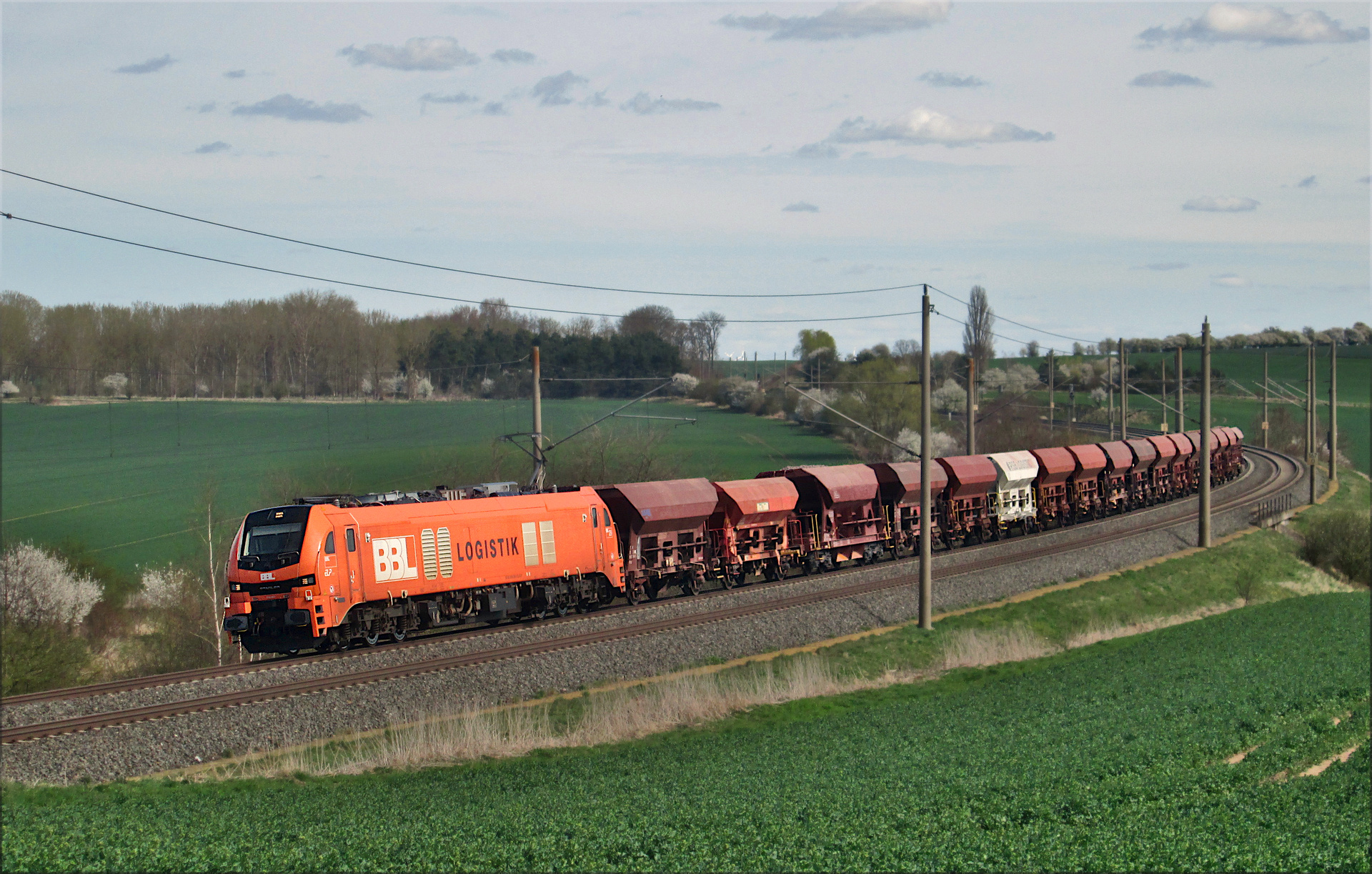 Stadler Euro Dual DE 159 – photo 10