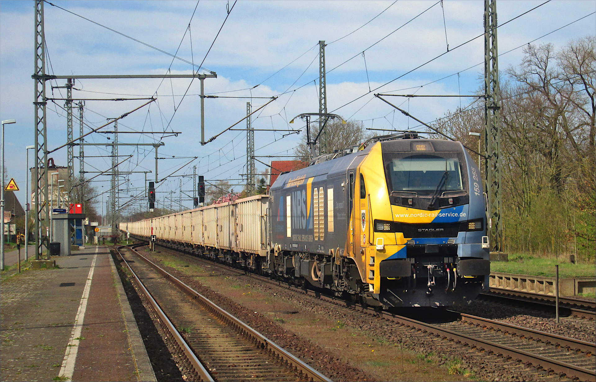 Stadler Euro Dual DE 159 – photo 8
