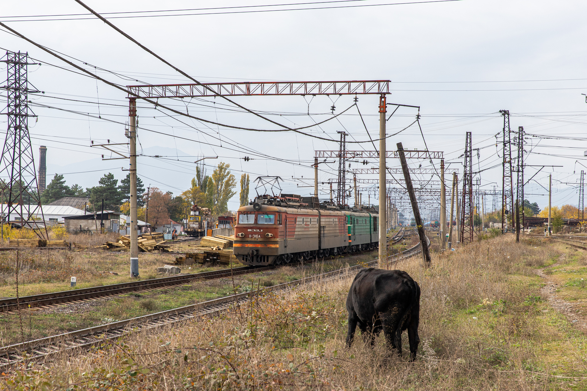 NEVZ VL11M – foto 9