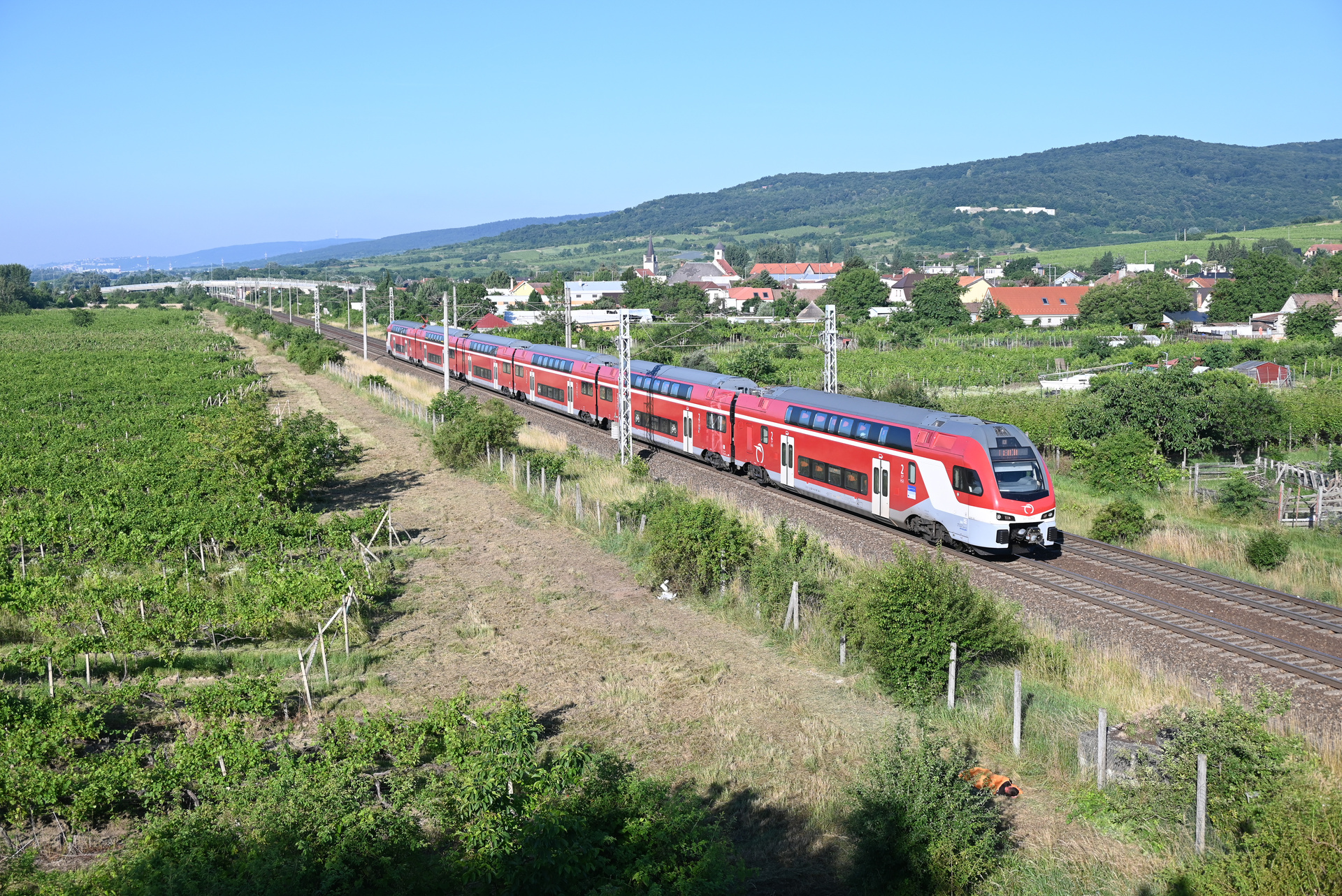 Stadler MAV 815 – photo 15