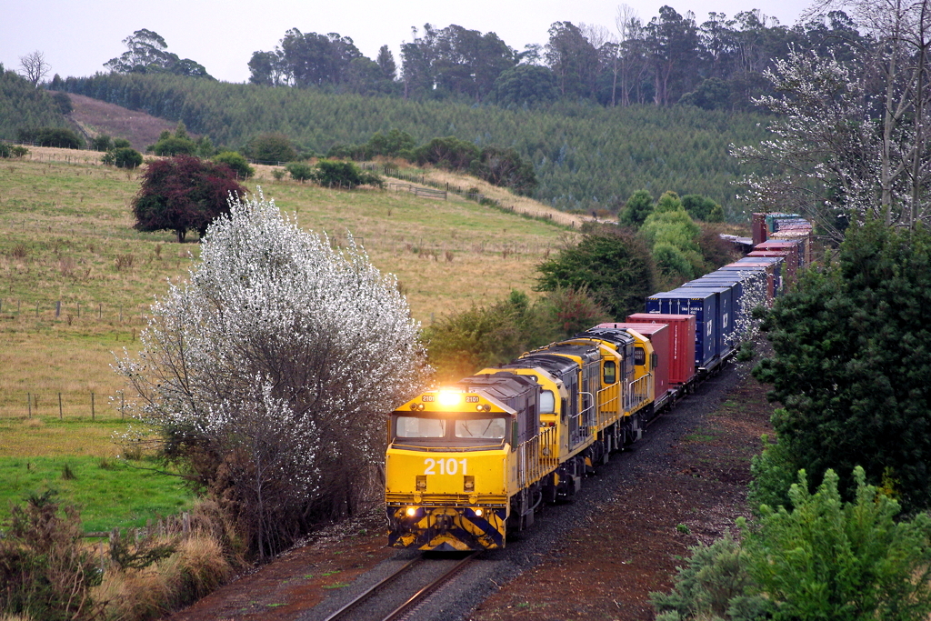 English Electric ML255C – foto 3