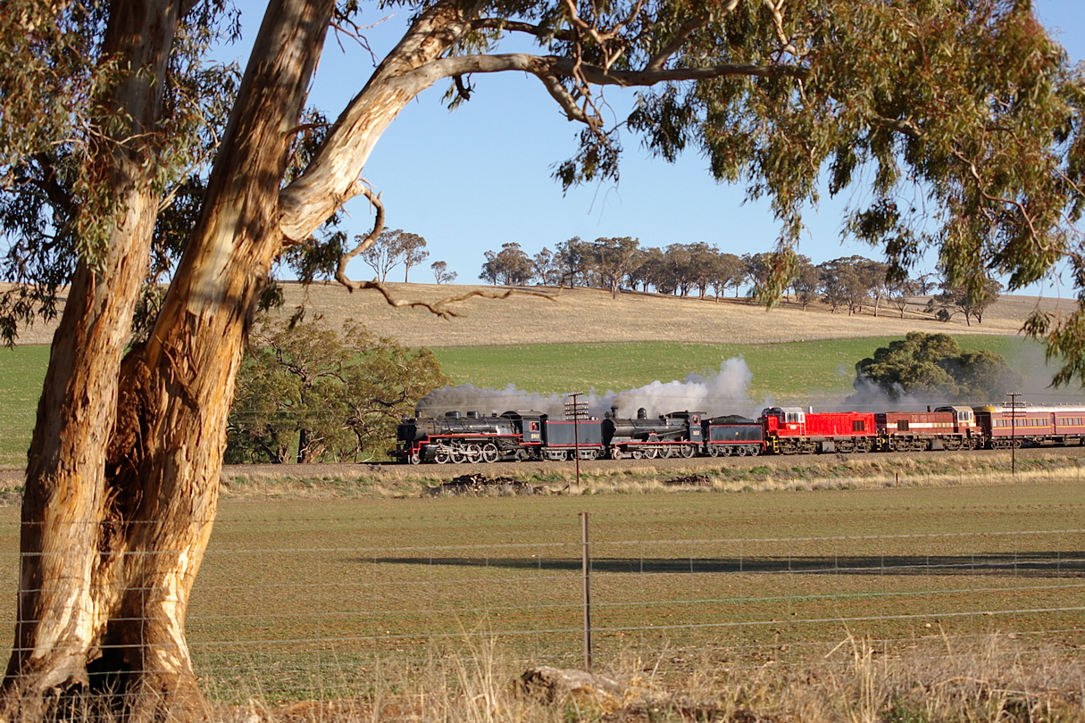 Baldwin NSW D59 – photo 9