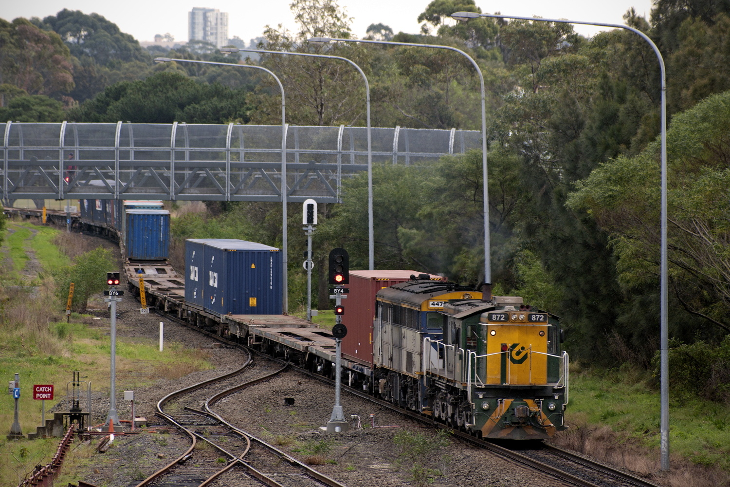 AE Goodwin DL531 – photo 4