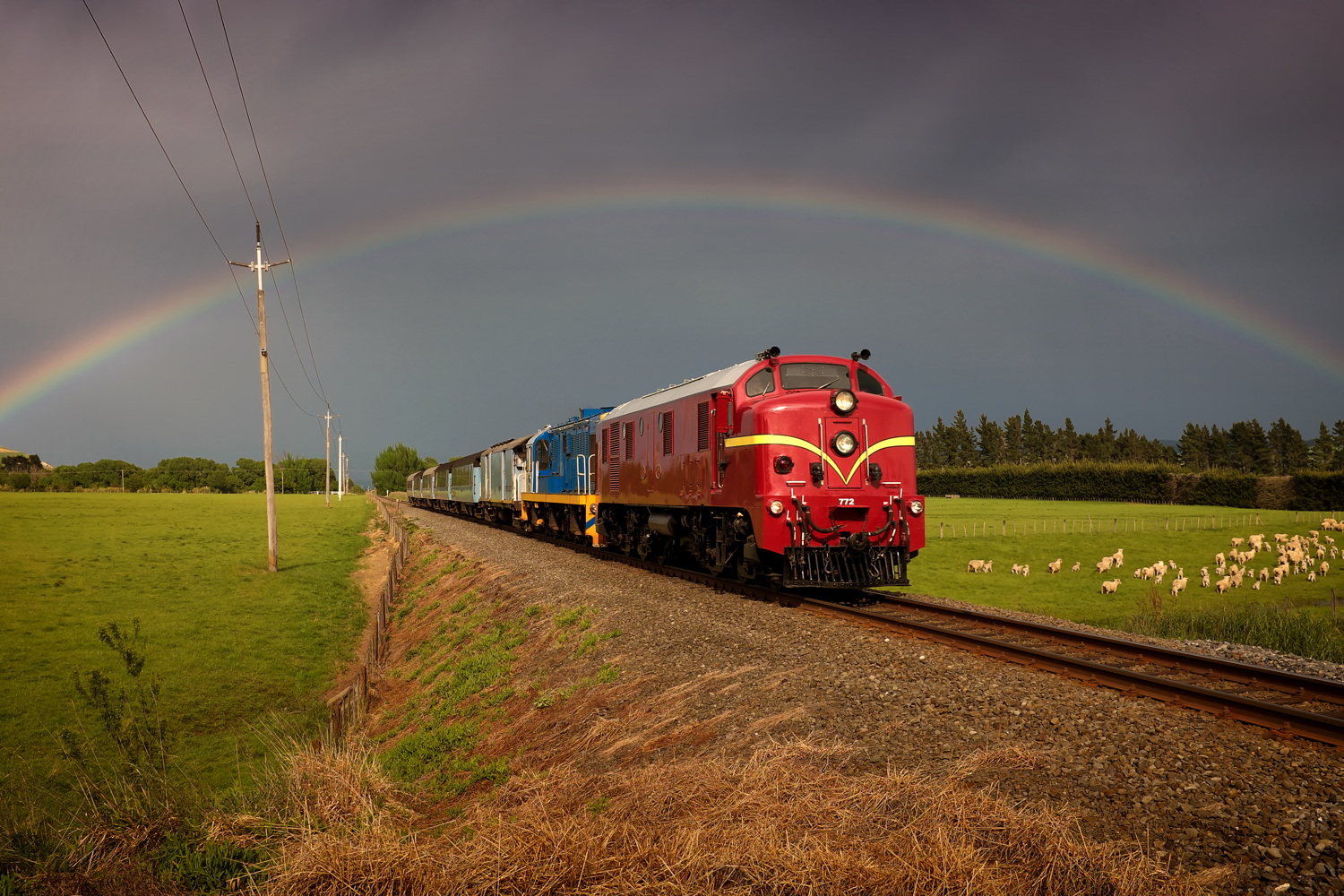 English Electric NZR DG – photo 8