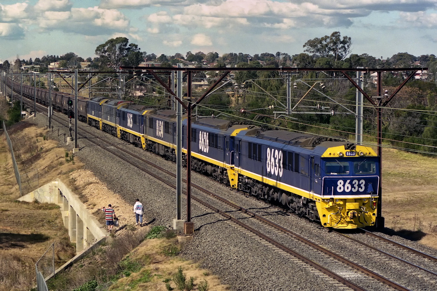 Comeng NSW 86 – photo 5