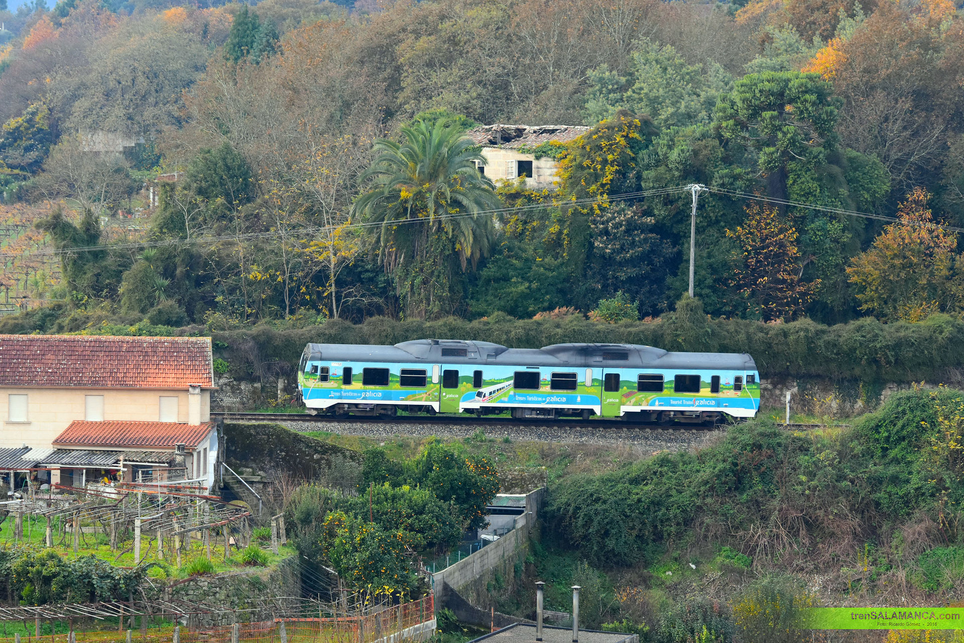 Alstom RENFE 596 – photo 18