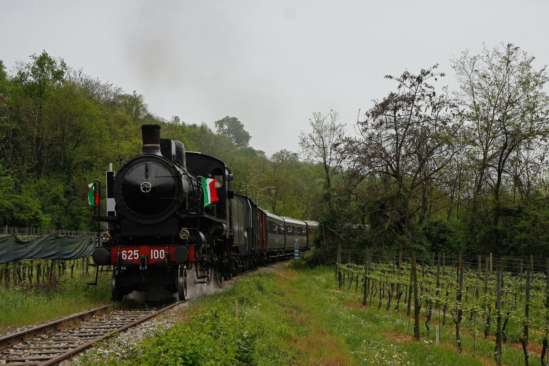 BMAG FS 625 – photo 19