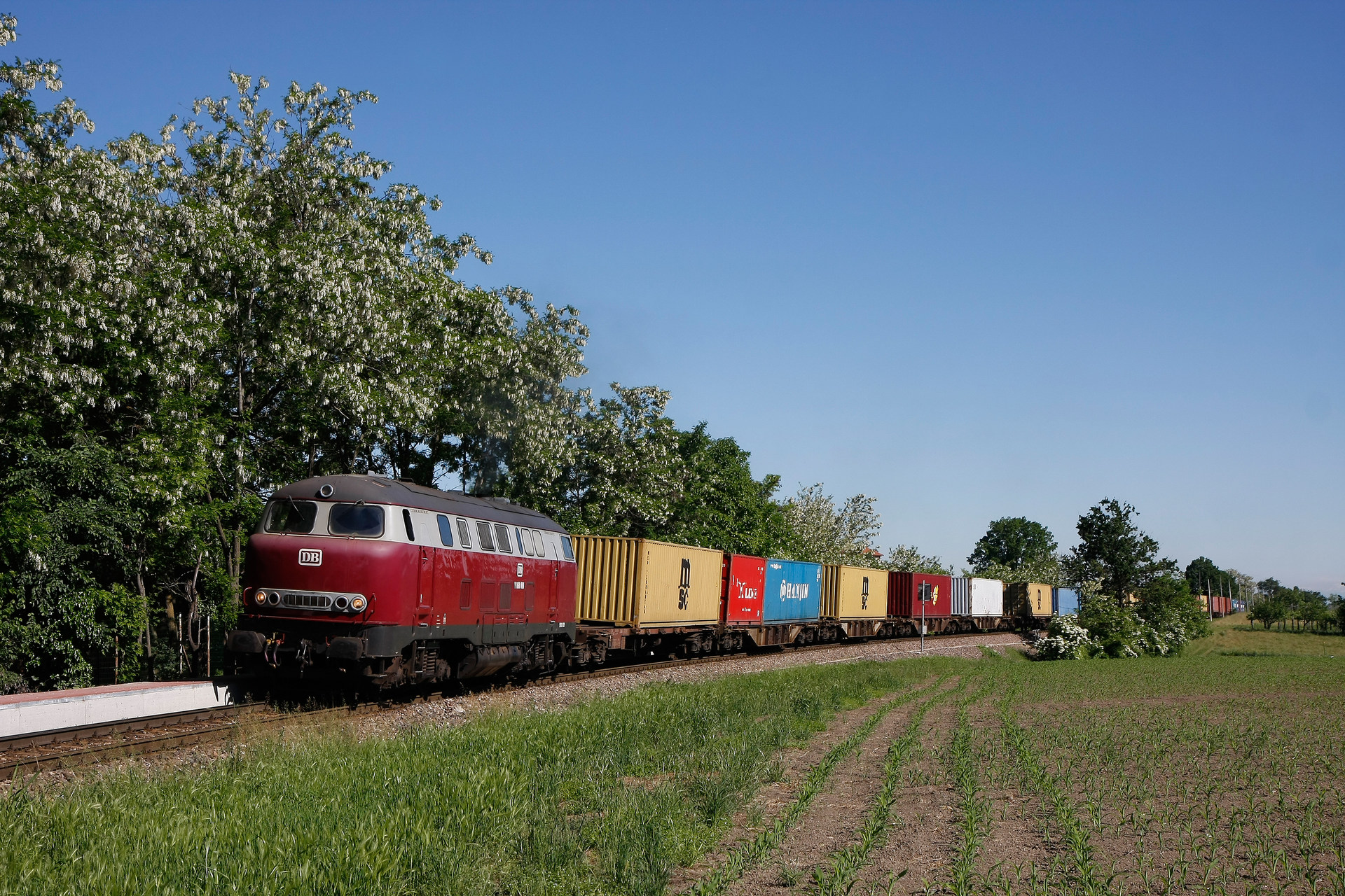 KHD V160 / Br 216 – photo 17