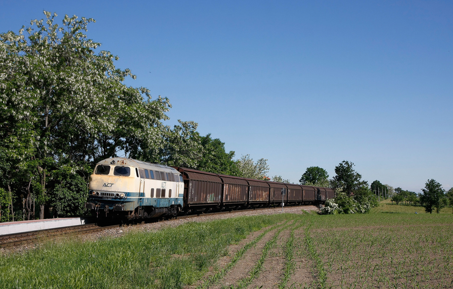 KHD V160 / Br 216 – photo 19
