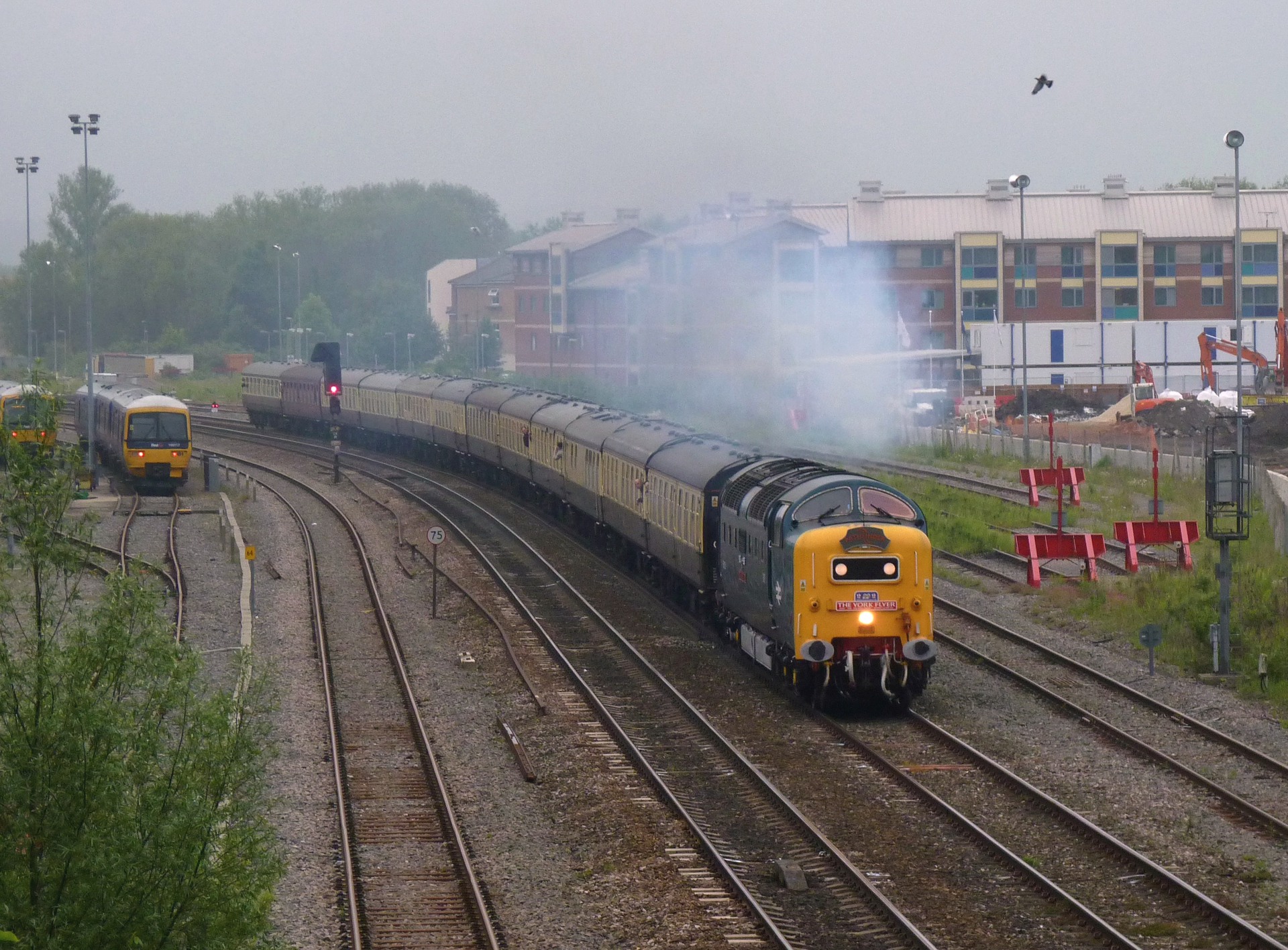 English Electric BR 55 – Foto 5