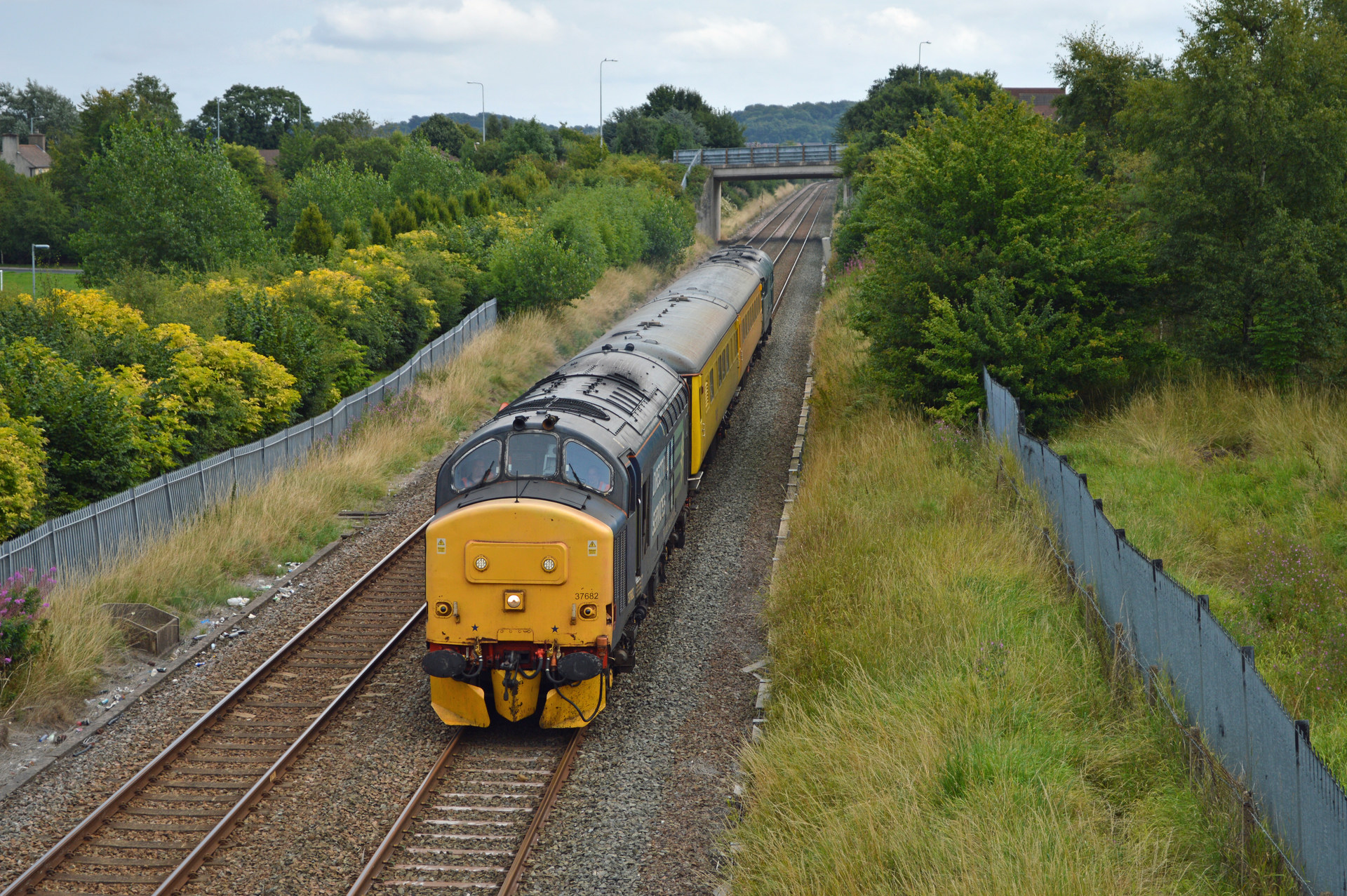 English Electric 37/6 – foto 22