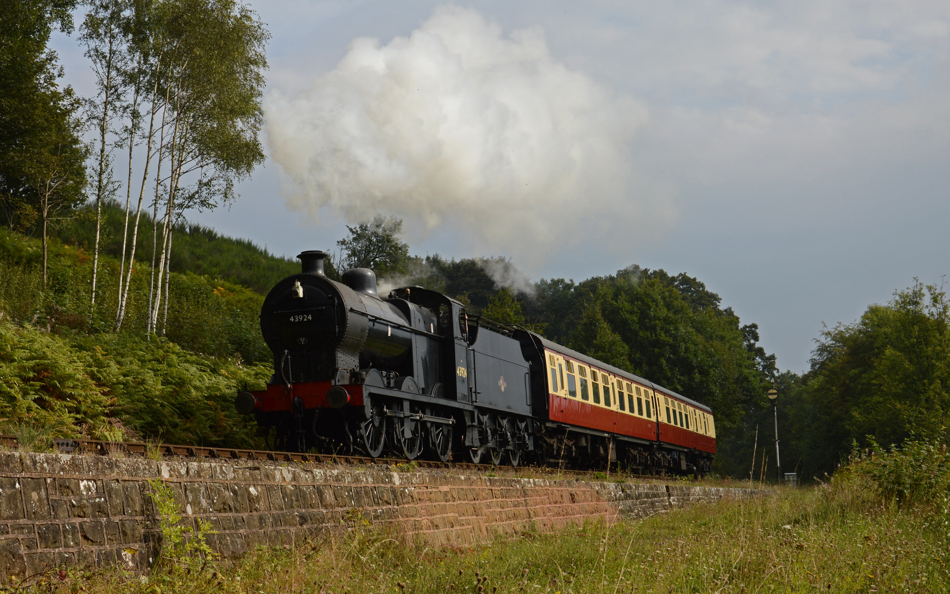NBL LMS Fowler 4F – photo 2