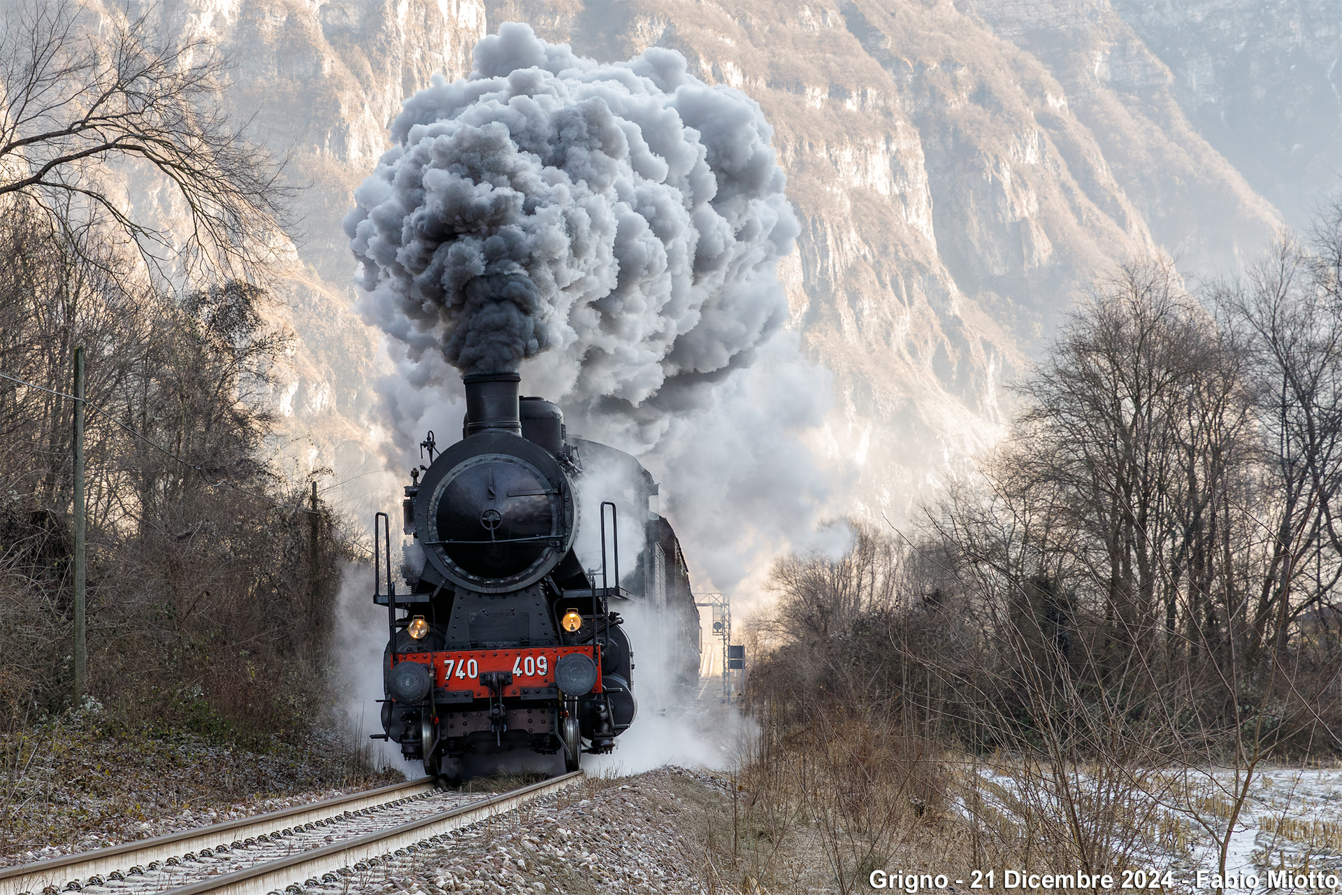 OM Gr740 – photo 4
