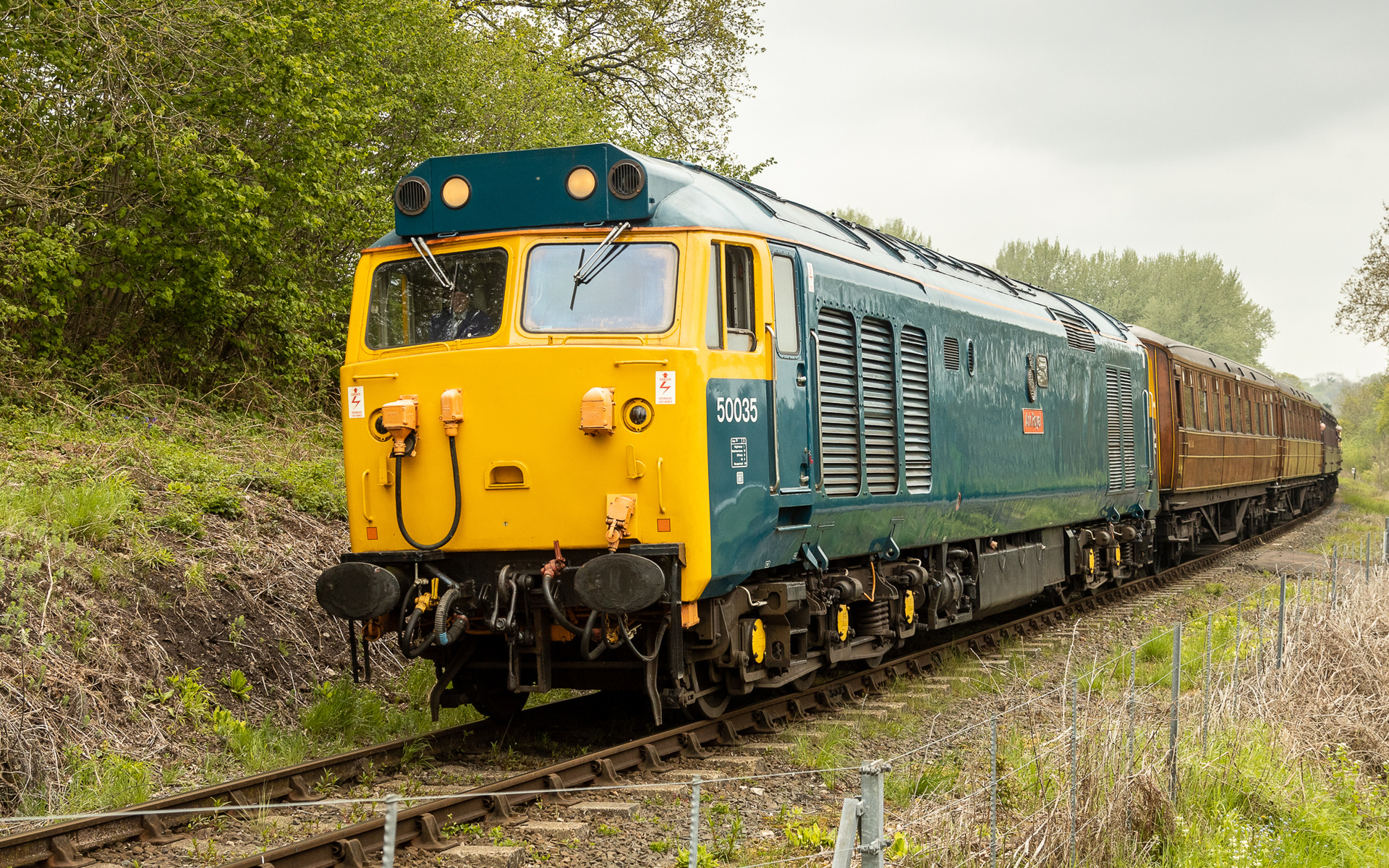 English Electric BR 50 – foto 14