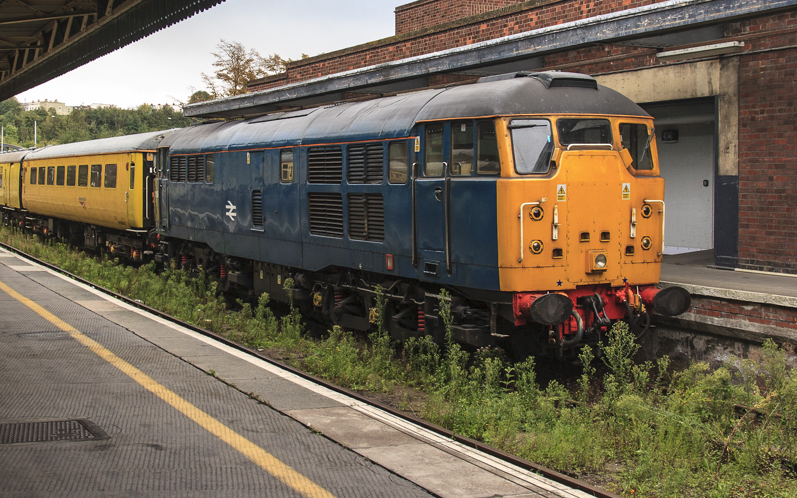 Brush Traction 31/1 – foto 16