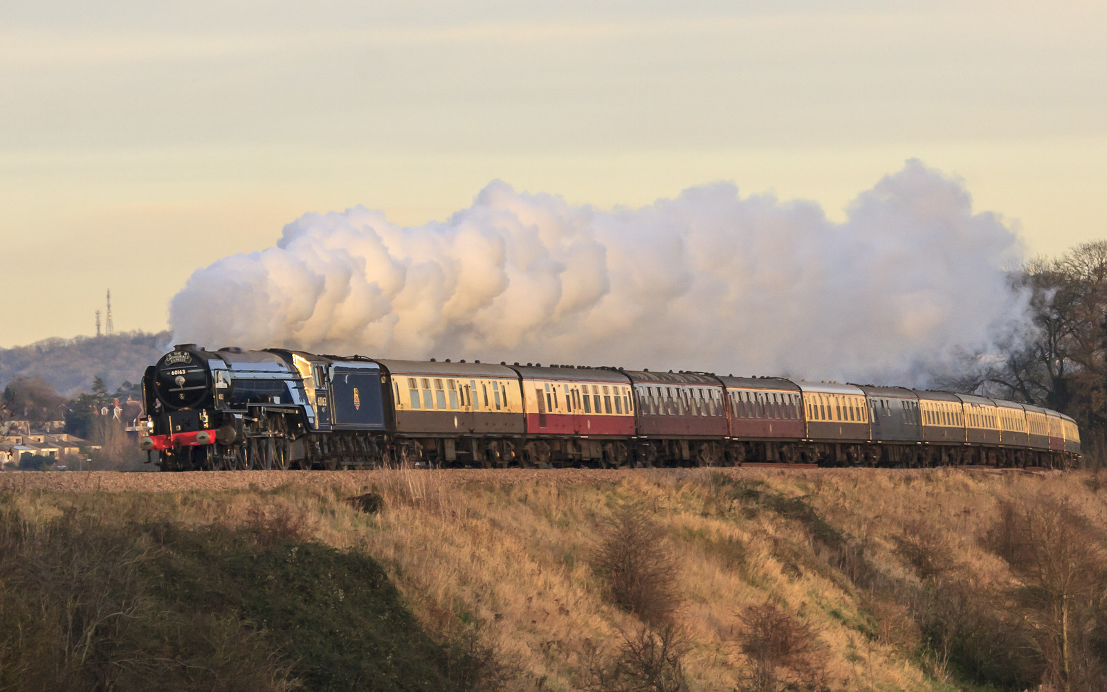 Trust LNER Peppercorn A1 – photo 8