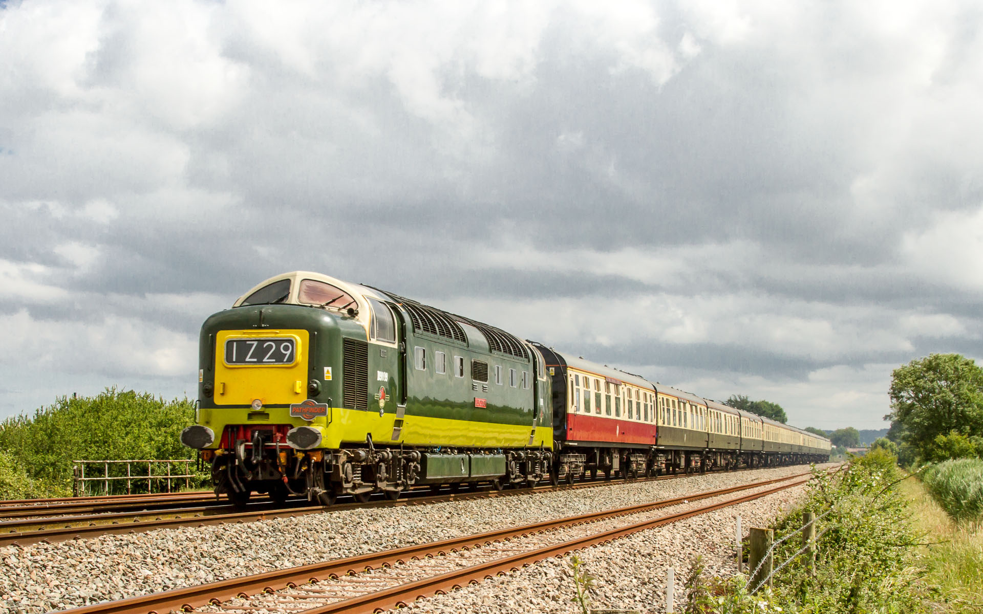 English Electric BR 55 – Foto 2