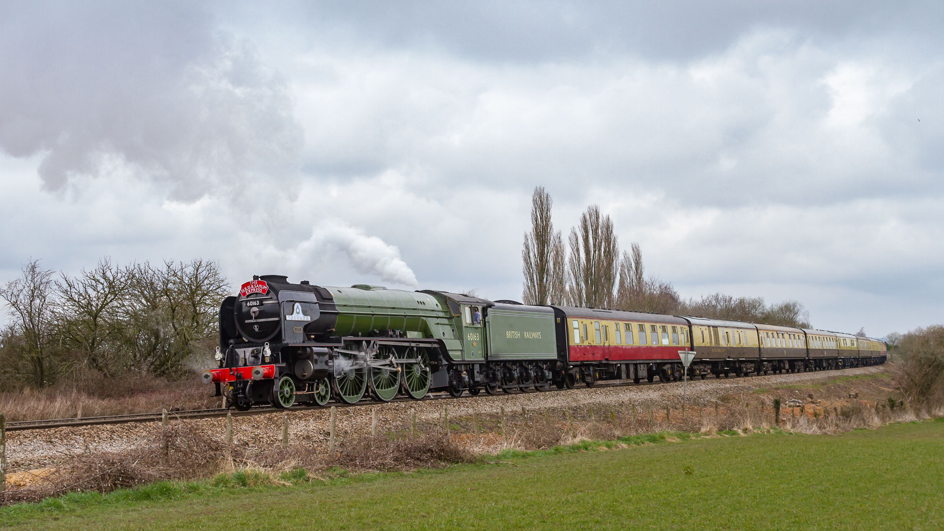 Trust LNER Peppercorn A1 – photo 3