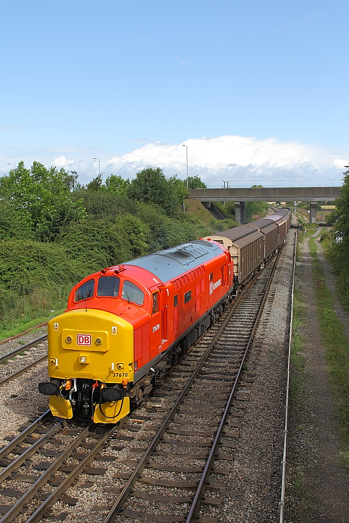 English Electric 37/5 – foto 13