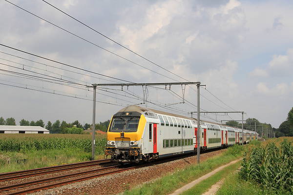 BN M6 BDx