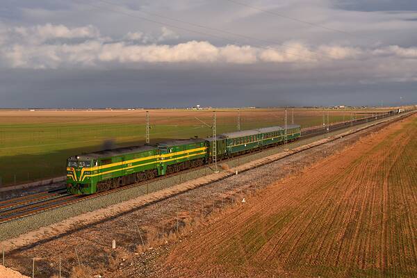 ALCo DL500S
