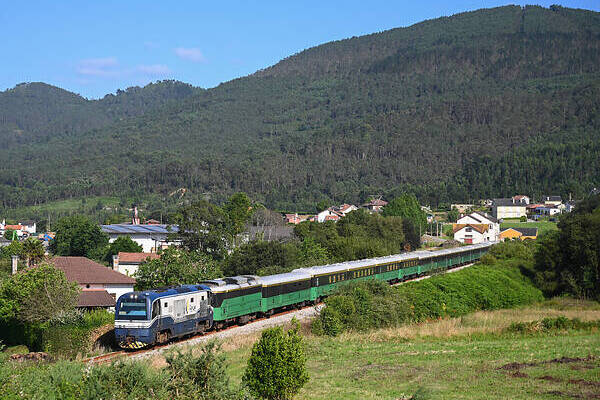 CAF FEVE 1900