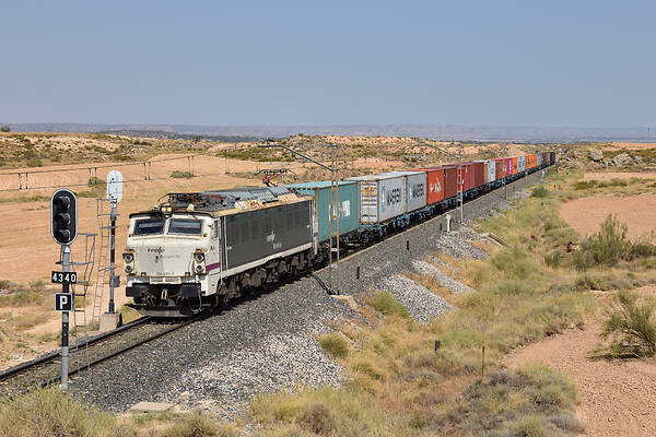 CAF RENFE 251