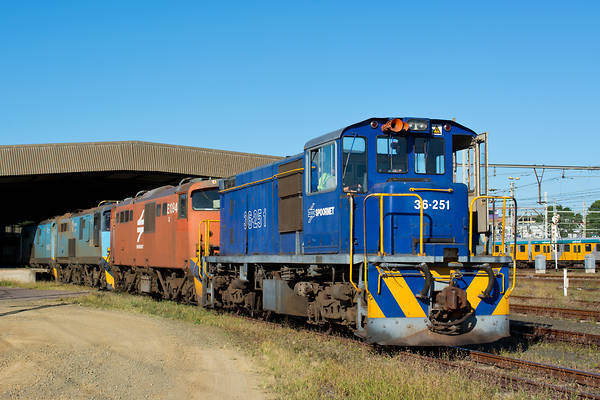 GMSA SW1002 (36-200)