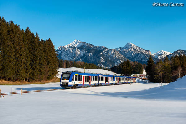 Alstom LINT 41