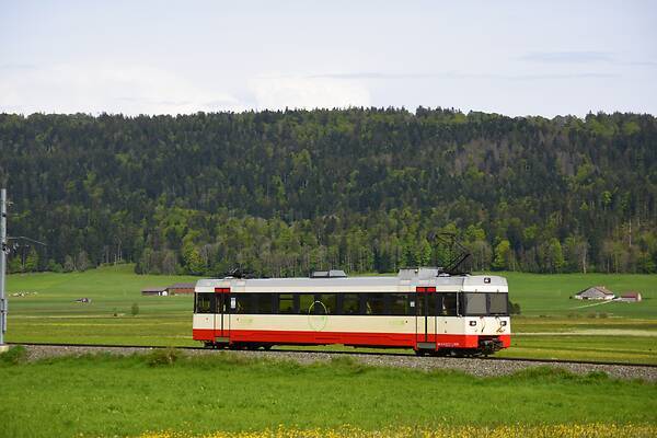 ABB TRN BDe 4/4 6-8