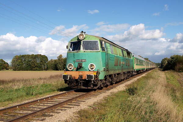 Cegielski 301D