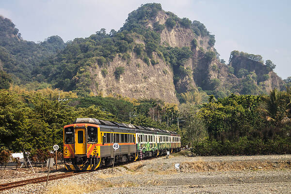 Nippon Sharyo DR1000
