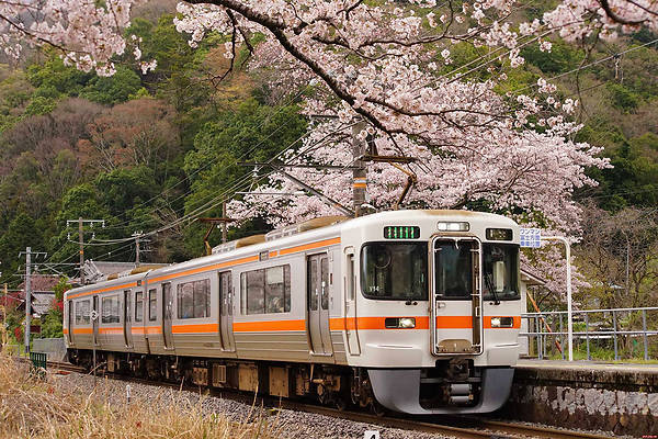 Tokyu Car JNR 313