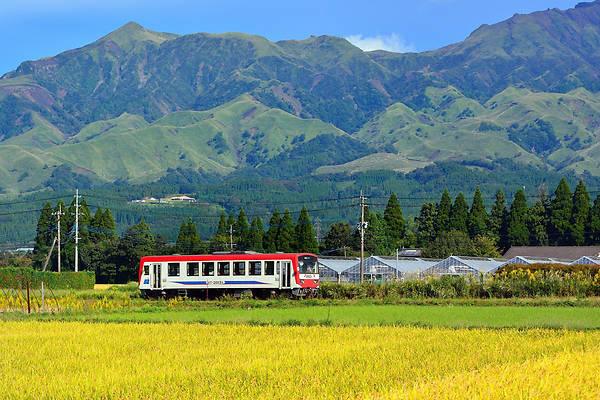 Niigata MT-2000