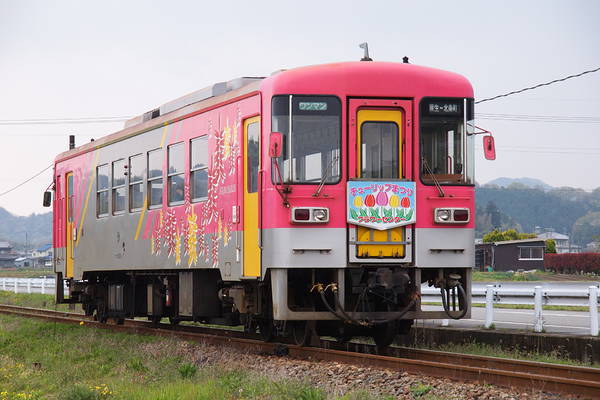 FHI Furawa 2000