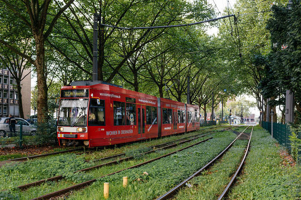 Siemens NF6D