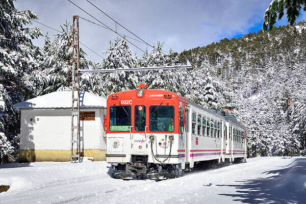 MTM RENFE 442