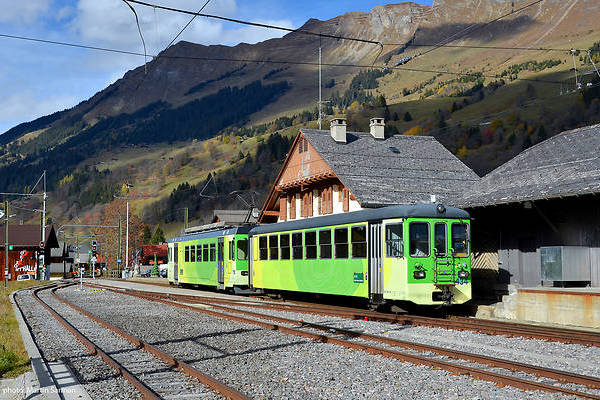 SWP BLT Bt 21–27