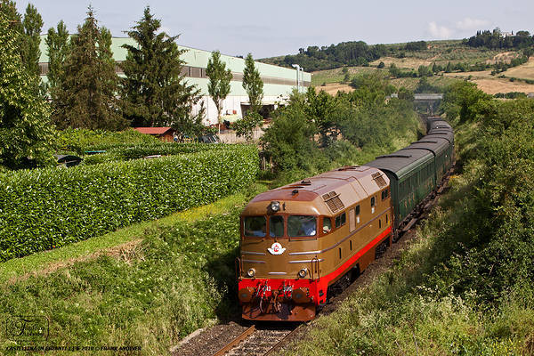 Ansaldo D342.4