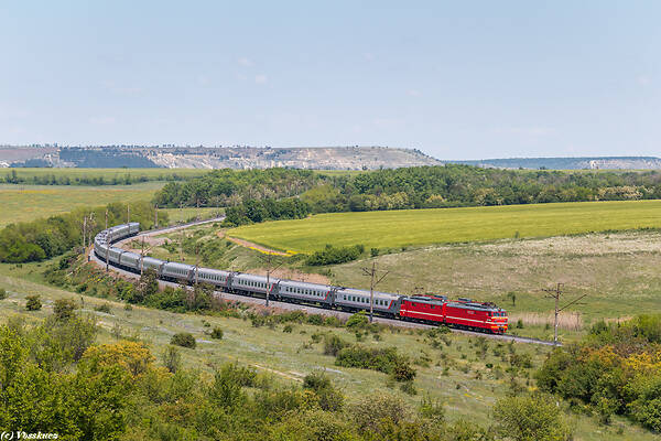 NEVZ VL10