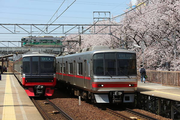 Nippon Sharyo Meitetsu 5000