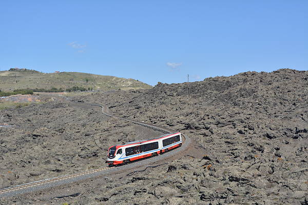 Newag 226M