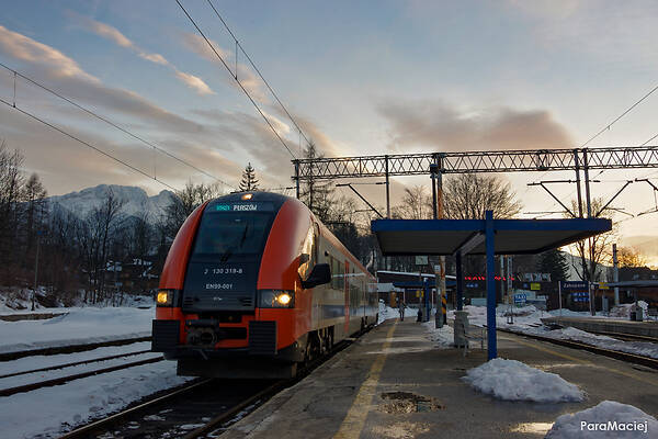 PESA 41WE