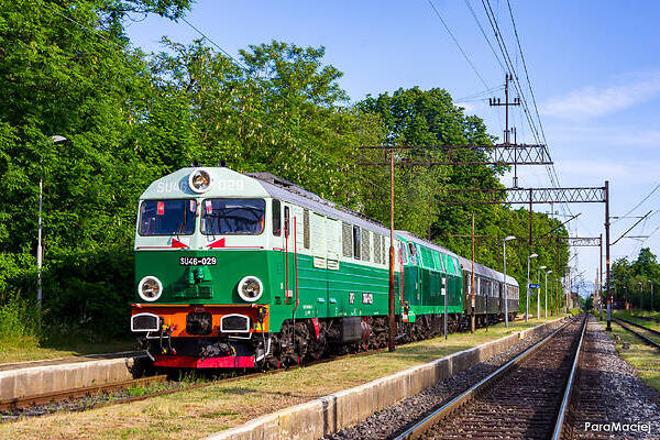 Cegielski 303D