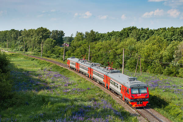 DMZ ED9E